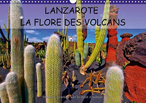 Stock image for Lanzarote la Flore des Volcans 2017: Lanzarote des Champs de Lave Naturellement Fertiles (Calvendo Places) for sale by Revaluation Books