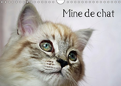 Stock image for Mine de Chat 2017: Photos Fascinantes des Tigres de Salon Prises de Tres Pres (Calvendo Animaux) for sale by Revaluation Books