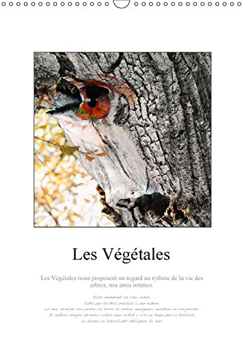 Beispielbild fr Les Vegetales 2017: Au c/Ur de la Foret de Bonnevaux, Elfes et Lutins, Chamans et Fees (Calvendo Nature) zum Verkauf von Revaluation Books