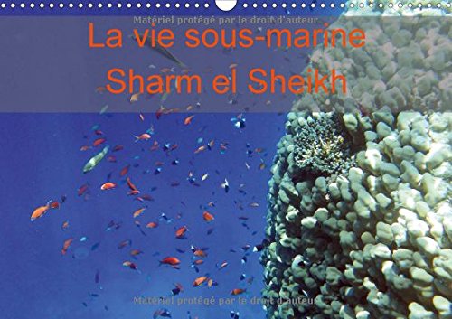 Stock image for La Vie Sous-Marine Sharm el Sheikh 2017: Photos de la Faune de Sharm el Sheikh (Mer Rouge) (Calvendo Animaux) for sale by Revaluation Books