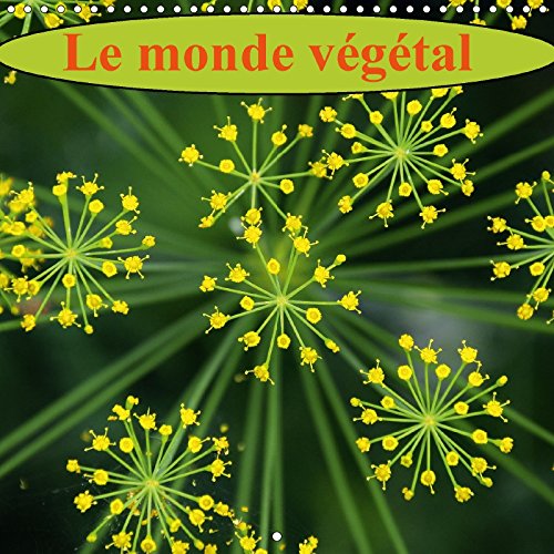 Stock image for Le Monde Vegetal 2017: Fleurs et Flore, un Feu d'Artifice de Couleurs (Calvendo Nature) for sale by Revaluation Books