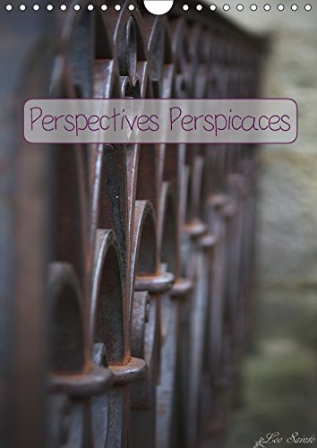 Stock image for Perspectives Perspicaces 2017: Quand l'Image Attire Malgre Nous le Regard vers la Fuite (Calvendo Places) for sale by Revaluation Books