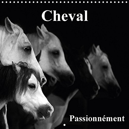 Stock image for Cheval Passionnement 2017: Le Cheval, La Plus Belle Conquete De L'homme. (Calvendo Animaux) for sale by Revaluation Books