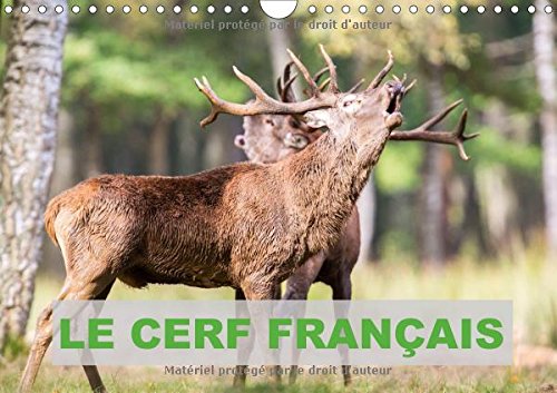 Stock image for Le Cerf Francais 2017: Photos De Cerfs En France (Calvendo Animaux) for sale by Revaluation Books