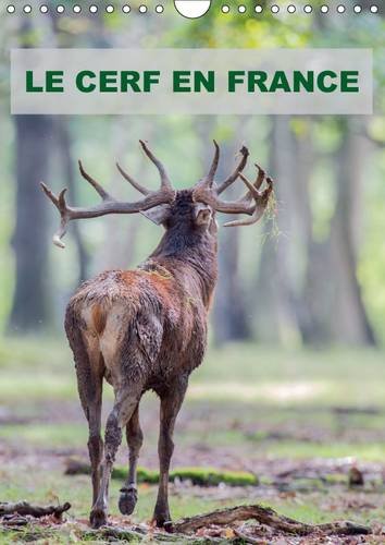 Stock image for LE Cerf En France 2017: Photographies De Cerfs En France. (Calvendo Animaux) for sale by Revaluation Books