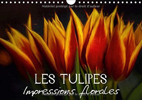 9781325186891: Les Tulipes Impressions florales (Calendrier mural 2017 DIN A4 horizontal): Egayez votre quotidien ! (Calendrier mensuel, 14 Pages ) (Calvendo Nature)