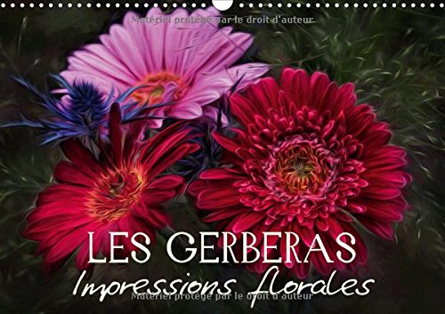 9781325187270: Les Gerberas Impressions florales (Calendrier mural 2017 DIN A3 horizontal): Egayez votre quotidien ! (Calendrier mensuel, 14 Pages )