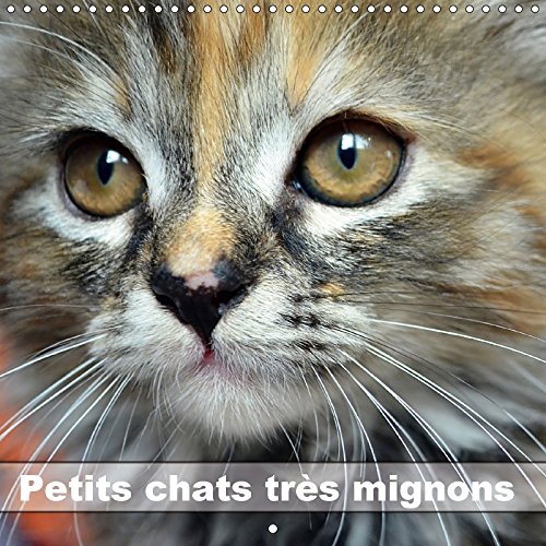 Stock image for Petits Chats Tres Mignons 2017: Photos Fascinantes Des Tigres De Salon Prises En Gros Plan. (Calvendo Animaux) for sale by Revaluation Books