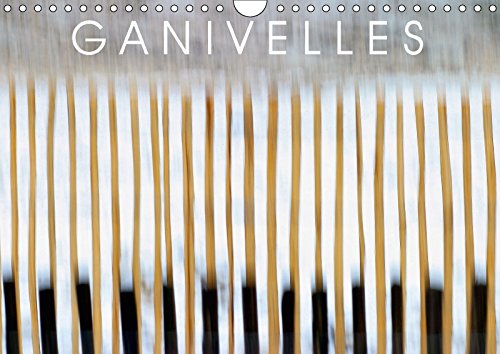 9781325189212: Ganivelles 2017: Barrieres En Lattes De Chataignier, Les Ganivelles Servent a Fixer Sur Les Dunes Le Sable Apporte Par Le Vent. (Calvendo Nature) (French Edition)