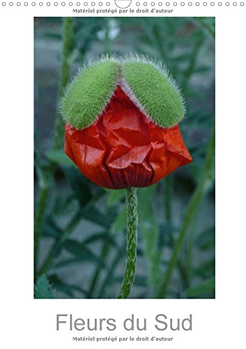 Stock image for Fleurs Du Sud 2017: Fleurs Sauvages Des Pays Du Sud. (Calvendo Nature) for sale by Revaluation Books