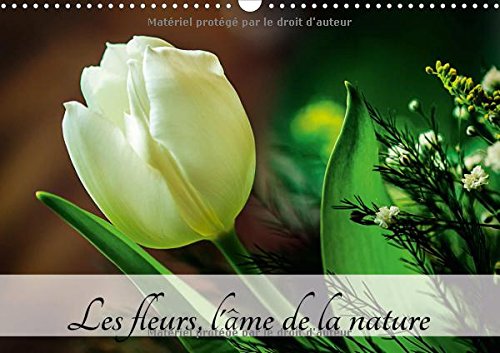 9781325190485: Les Fleurs, L'ame De La Nature 2017: L'Ame De La Nature Est Partout Autour De Nous. Je L'ai Retrouvee Aujourd'hui Dans Des Fleurs! (Calvendo Nature) (French Edition)