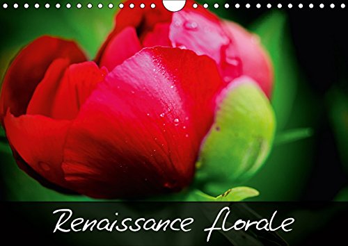 Stock image for Renaissance Florale ! 2017: Embellissons Notre Vie En Admirant La Beaute Naturelle Des Fleurs ! (Calvendo Nature) for sale by Revaluation Books