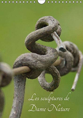 Stock image for Les Sculptures De Dame Nature 2017: Toutes Les Beautee De La Nature Sous Vos Yeux (Calvendo Art) for sale by Revaluation Books