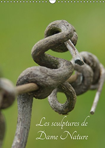 Stock image for Les Sculptures De Dame Nature 2017: Toutes Les Beautee De La Nature Sous Vos Yeux (Calvendo Art) for sale by Revaluation Books