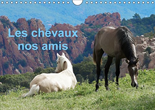 Stock image for Les Chevaux Nos Amis 2017: Une Serie De Photos De Nos Amis Les Chevaux (Calvendo Animaux) for sale by Revaluation Books