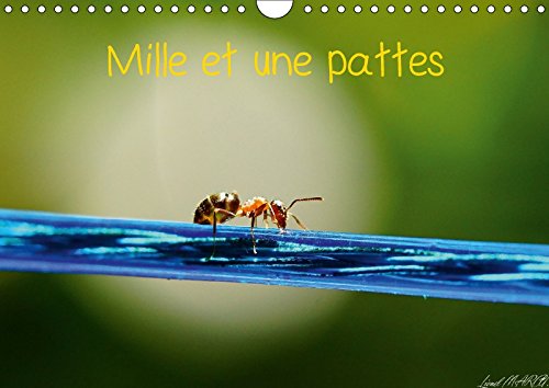 Stock image for Mille Et Une Pattes 2017: Photographie D'insectes (Calvendo Animaux) for sale by Revaluation Books