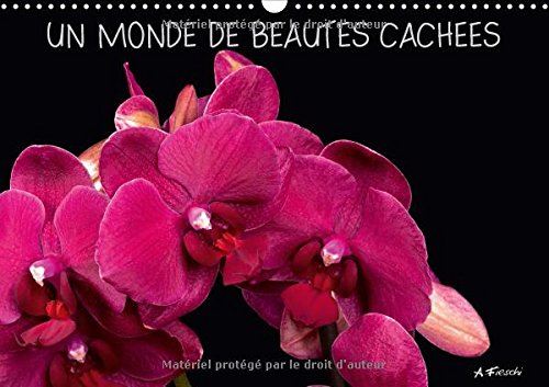 Stock image for Un Monde De Beautes Cachees 2017: Venez Decouvrir Mon Univers Graphique Et Colore, Charge De Sensations Visuelles. (Calvendo Nature) for sale by Revaluation Books