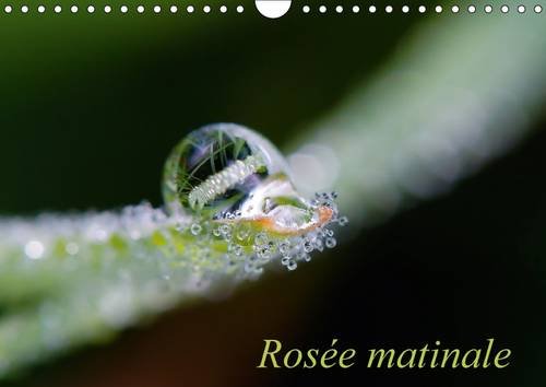 Stock image for Rosee Matinale 2017: Photographie Matinale (Calvendo Nature) for sale by Revaluation Books