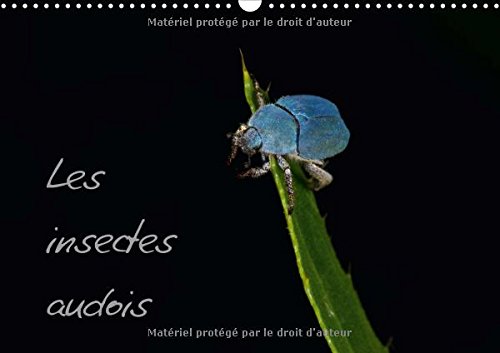 Stock image for Les Insectes Audois 2017: Photographies D'insectes Du Departement De L'aude (Calvendo Animaux) for sale by Revaluation Books