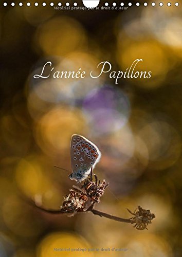 Stock image for L'Annee Papillons 2017: Calendrier Illustre Ayant Pour Theme Les Papillons (Calvendo Nature) for sale by Revaluation Books
