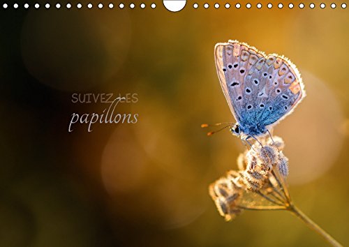 Stock image for Suivez Les Papillons 2017: Calendrier Photo Sur Le Theme Des Papillons (Calvendo Nature) for sale by Revaluation Books