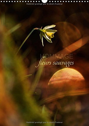 Stock image for Hommage Fleurs Sauvages 2017: Petit Hommage Aux Fleurs De Nos Campagnes (Calvendo Nature) for sale by Revaluation Books