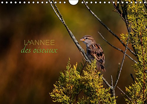 9781325203970: L'Annee Des Oiseaux 2017: Calendrier Regroupant Quelques Oiseaux Migrateurs Ou Passereaux (Calvendo Animaux)