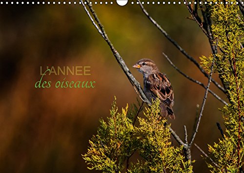 Stock image for L'Annee Des Oiseaux 2017: Calendrier Regroupant Quelques Oiseaux Migrateurs Ou Passereaux (Calvendo Animaux) for sale by Revaluation Books