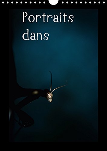 Stock image for Portraits Dans L'herbe 2017: Portrait D'insectes Des Pyrenees Dans Leur Environnement (Calvendo Nature) for sale by Revaluation Books