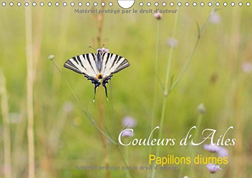 Stock image for Couleurs D'ailes 2017: Papillons Diurnes (Calvendo Animaux) for sale by Revaluation Books