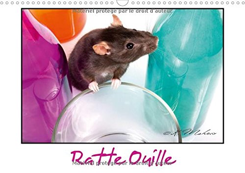 9781325205752: Ratte Ouille (Calendrier mural 2017 DIN A3 horizontal): Gentille muride (Calendrier mensuel, 14 Pages )