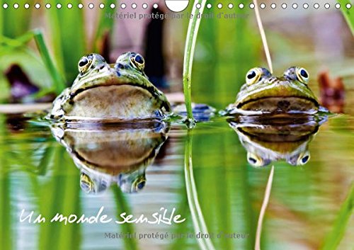 Stock image for Un Monde Sensible 2017: En Macro Ou Au Telezoom, Divers Animaux Autour De Nous. (Calvendo Animaux) for sale by Revaluation Books