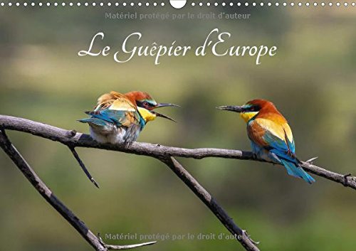 Stock image for Le Guepier D'europe - Merops Apiaster 2017: Decouvrez Chaque Mois Les Differentes Facettes Du Guepier D'europe. (Calvendo Animaux) for sale by Revaluation Books