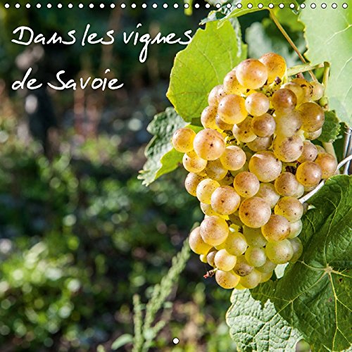 9781325206872: Dans les vignes de Savoie (Calendrier mural 2017 300  300 mm Square): Les vignes au pays de Savoie (Calendrier mensuel, 14 Pages )
