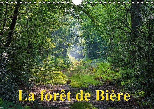 Stock image for La Foret De Biere 2017: Paysages De La Foret De Fontainebleau (Calvendo Nature) for sale by Revaluation Books