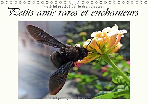 Imagen de archivo de Petits Amis Rares Et Enchanteurs 2017: Organisateur - Visiteurs Des Fleurs (Calvendo Animaux) a la venta por Revaluation Books