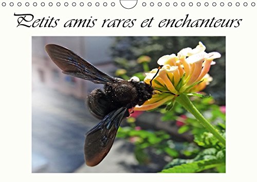Stock image for Petits Amis Rares Et Enchanteurs 2017: Organisateur - Visiteurs Des Fleurs (Calvendo Animaux) for sale by Revaluation Books