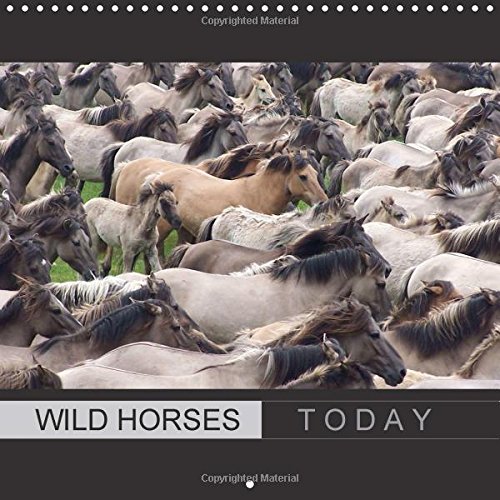 9781325219254: Wild Horses Today 2017: With Beautiful Wild Horses Through the Year (Calvendo Animals)