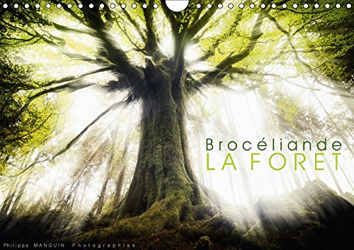 Stock image for Broceliande, La Foret 2018: Photographies De La Foret De Broceliande (Calvendo Nature) for sale by Revaluation Books