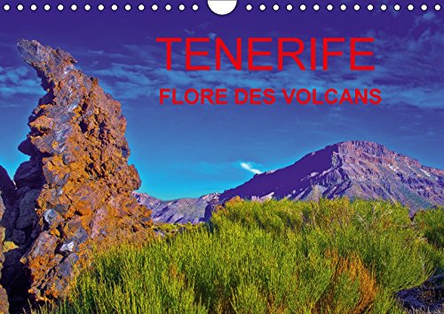 Stock image for Tenerife Flore Des Volcans 2018: Des Champs De Lave Barioles De Flore Endemique Creant La Surprise Dans Un Desert Bien Peu Austere. (Calvendo Nature) for sale by Revaluation Books