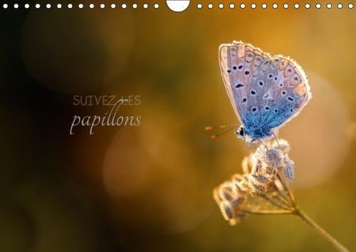 Stock image for Suivez Les Papillons 2018: Calendrier Photo Sur Le Theme Des Papillons (Calvendo Nature) for sale by Revaluation Books