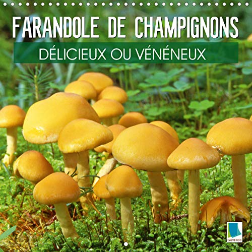 Stock image for Farandole de champignons - Delicieux ou veneneux 2020: Champignons aux couleurs et aux formes etranges, comme sorties d'un film de science-fiction (Calvendo Nature) for sale by Revaluation Books