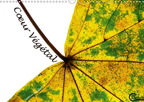 9781325431625: Cur Vgtal 2020: Au cur des feuilles d'automne (Calvendo Nature)