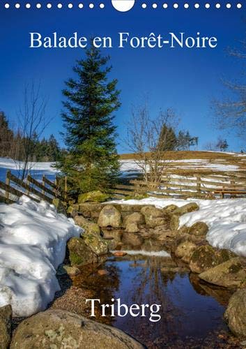 Stock image for Balade en Foret-Noire Triberg 2020: Decouverte de la Foret-Noire et de ses coucous (Calvendo Places) for sale by Revaluation Books