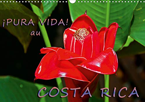 Stock image for Pura Vida! au Costa Rica 2020: Costa Rica - un pays merveilleux avec une nature magnifique (Calvendo Nature) for sale by Revaluation Books