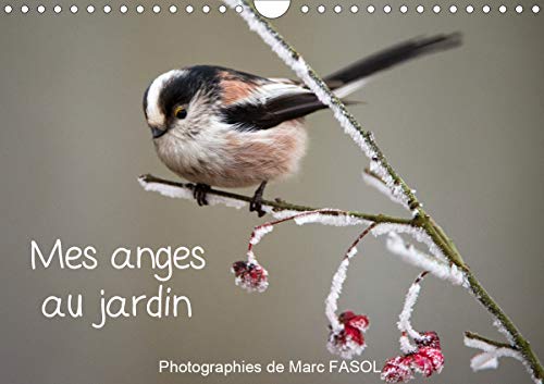 9781325485383: Mes anges au jardin (Calendrier mural 2020 DIN A4 horizontal): Espces communes des jardins... du moins, l o la biodiversit est reine (Calendrier mensuel, 14 Pages )