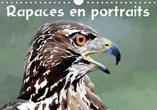 Beispielbild fr Rapaces en portraits 2020: Srie de 12 tableaux, crations originales de rapaces parmi les espces les plus connues. (Calvendo Animaux) zum Verkauf von Buchpark