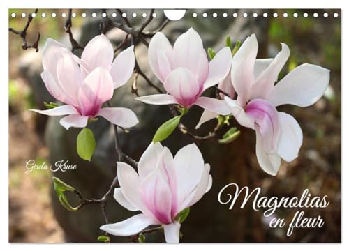 9781325832675: Magnolias en fleur (Calendrier mural 2025 DIN A4 vertical), CALVENDO calendrier mensuel: Magnifiques portraits de fleurs lumineuses
