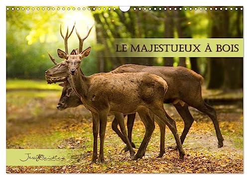 9781325851706: Le Majestueux  Bois (Calendrier mural 2024 DIN A3 vertical), CALVENDO calendrier mensuel: Rencontre des cerfs et biches de la fort de Rambouillet.
