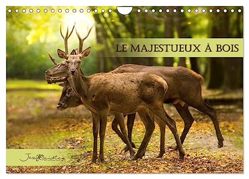 9781325851720: Le Majestueux  Bois (Calendrier mural 2024 DIN A4 vertical), CALVENDO calendrier mensuel: Rencontre des cerfs et biches de la fort de Rambouillet.